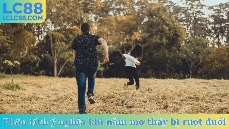 Phân tích ý nghĩa khi nằm mơ thấy bị rượt đuổi
